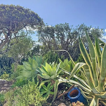 Βίλα Casa Blue Cala Rossa With Pool Lecci